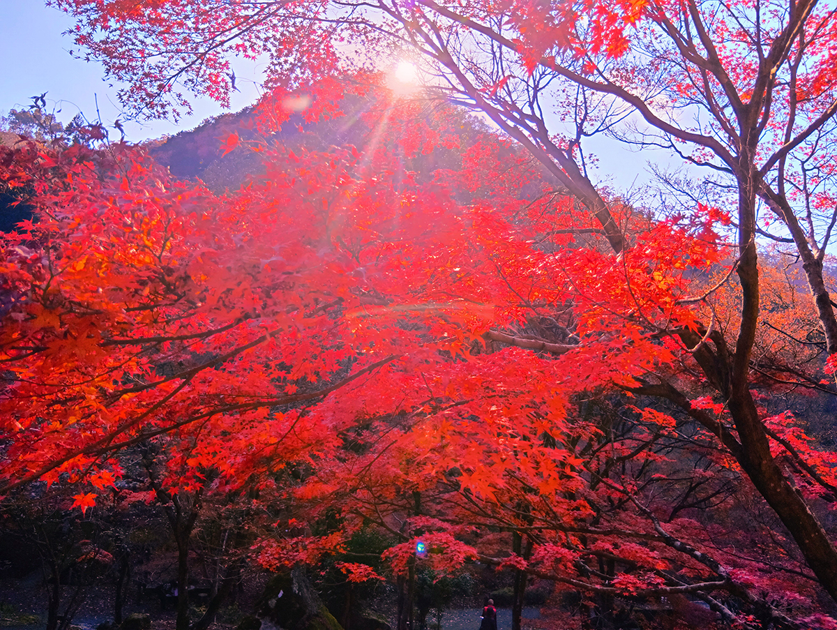 支配人賞　たつの市特産物セット
